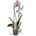 TEST 1