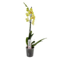 TEST 3