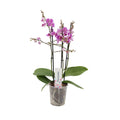 TEST 2